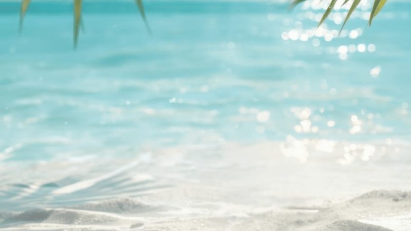 Universo Caribbean Fusion inspirado en el Caribe para los productos de cuidado natural del cabello Pipeska